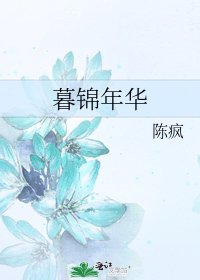 暮锦年华